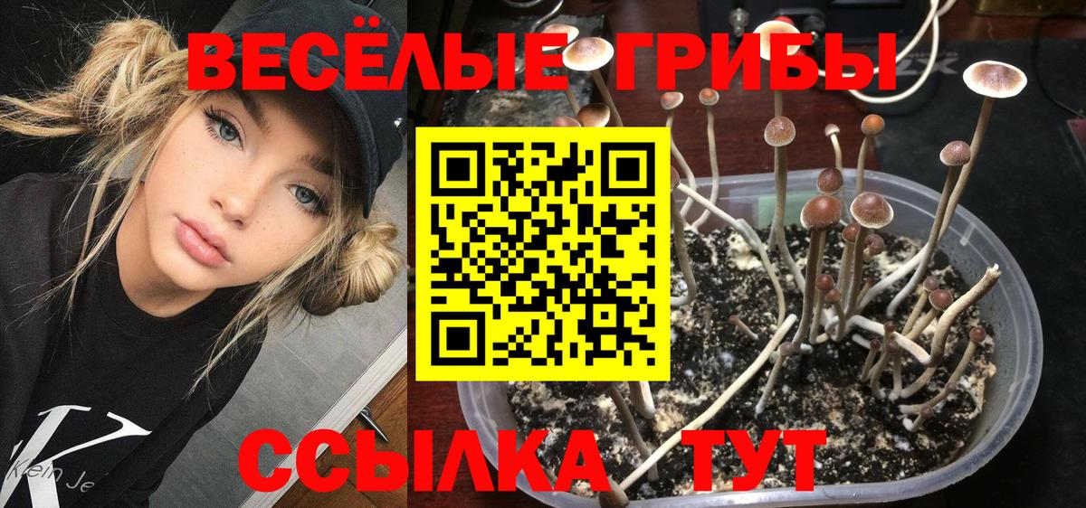 Галлюциногенные грибы мухоморы  Галлюциногенные грибы Cubensis  Озёрск  Вход с VPN 